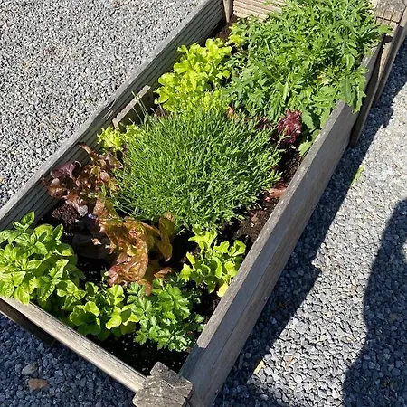 La Fermette Du 別荘 *