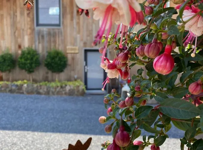 La Fermette Du Holiday home