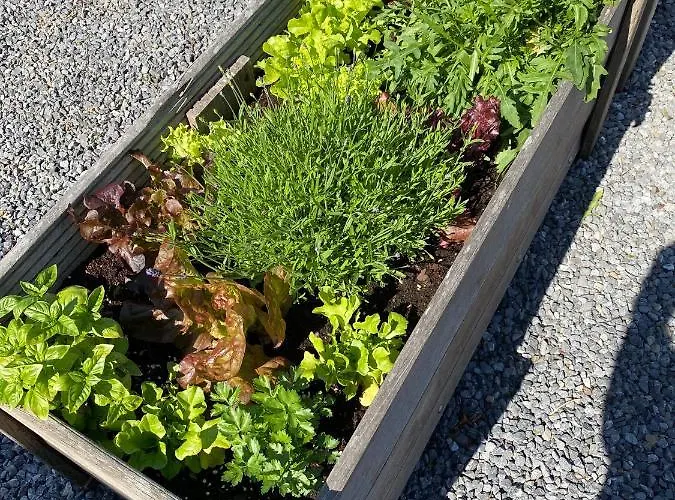 La Fermette Du Hébergement de vacances *